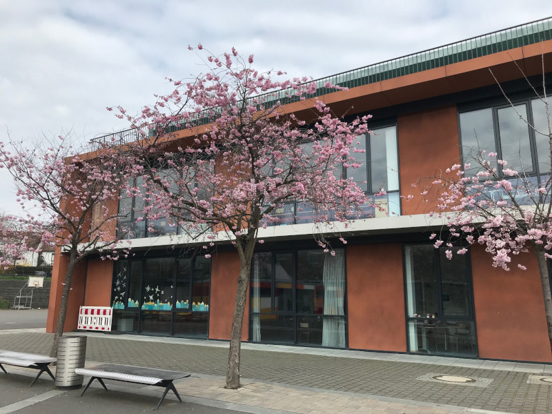 Lycée Français Victor Hugo – Lycée français de FrancfortsurleMain